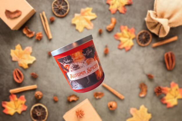 Autumn Spiced Wax Melt